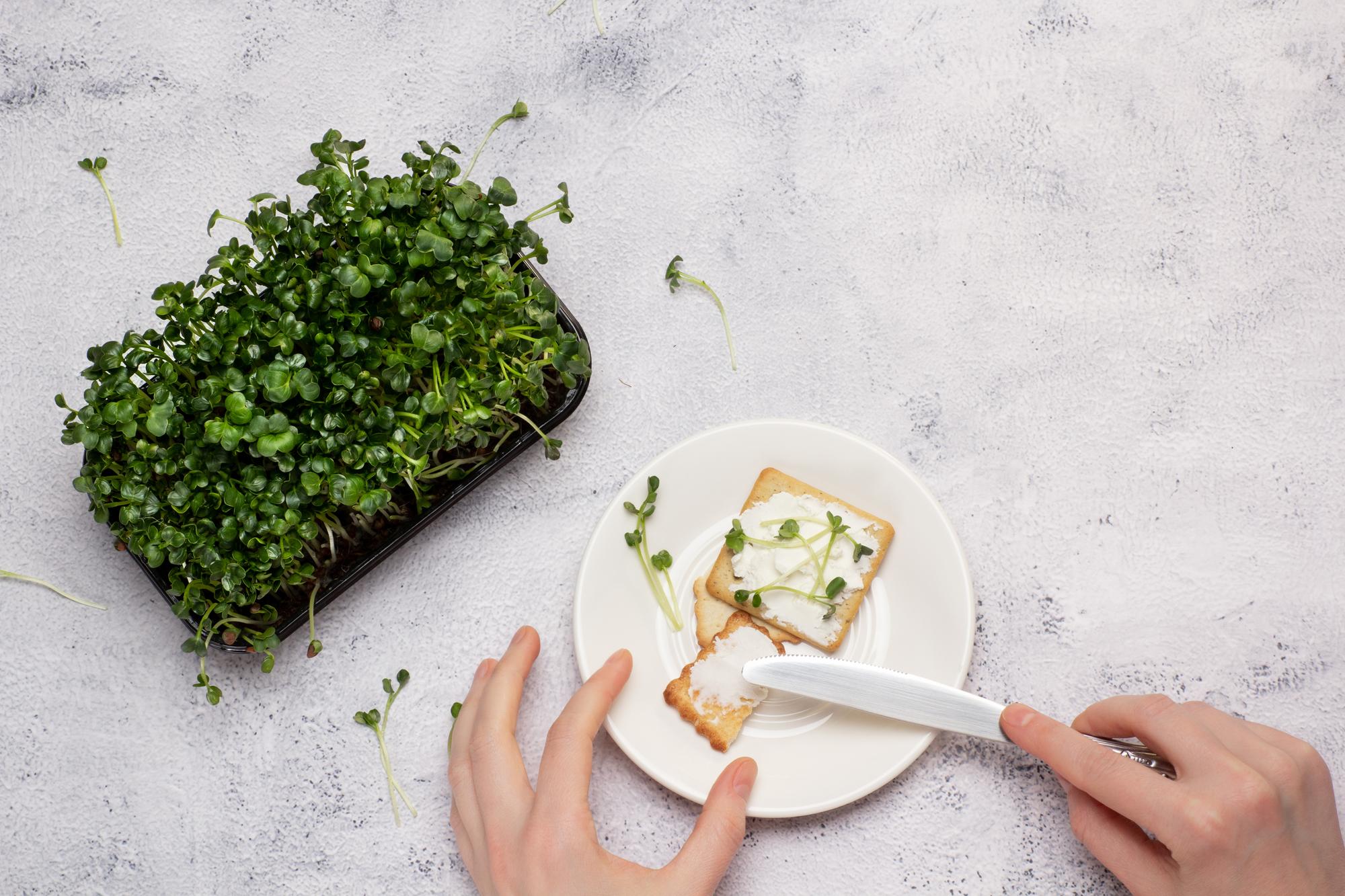 Close-up hands arranging microgreens on plate